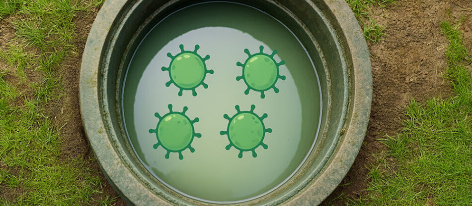 Яку побутову хімію обрати для септика без шкоди бактеріям